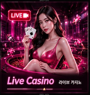 카지노
